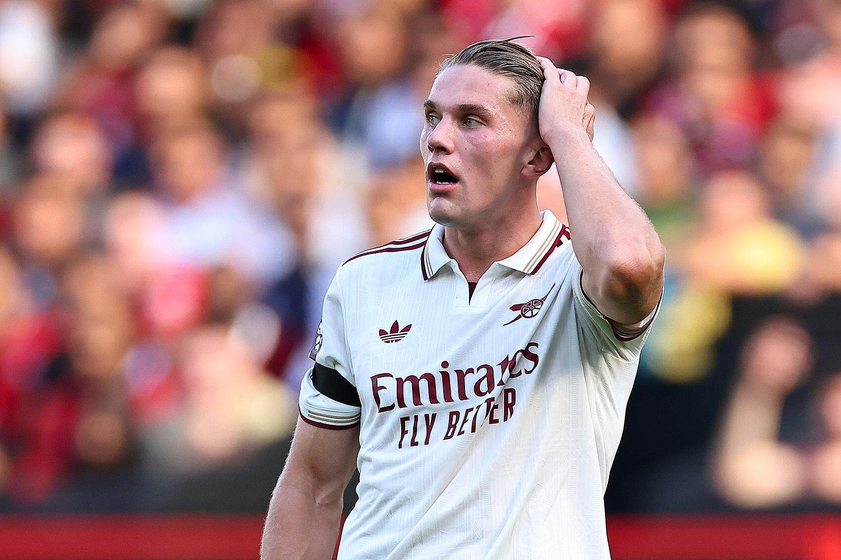 Dm, 詹库组合, 悉了 Dm, 詹库组合, 悉了