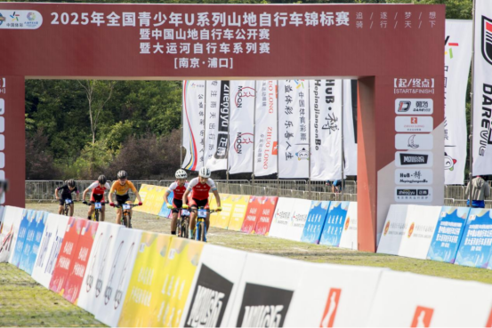 展现区域联 展现区域联